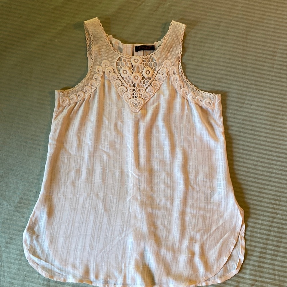 Pale Pink Sheer No Sleeve Shirt with Lace Details and Buttons Up Back